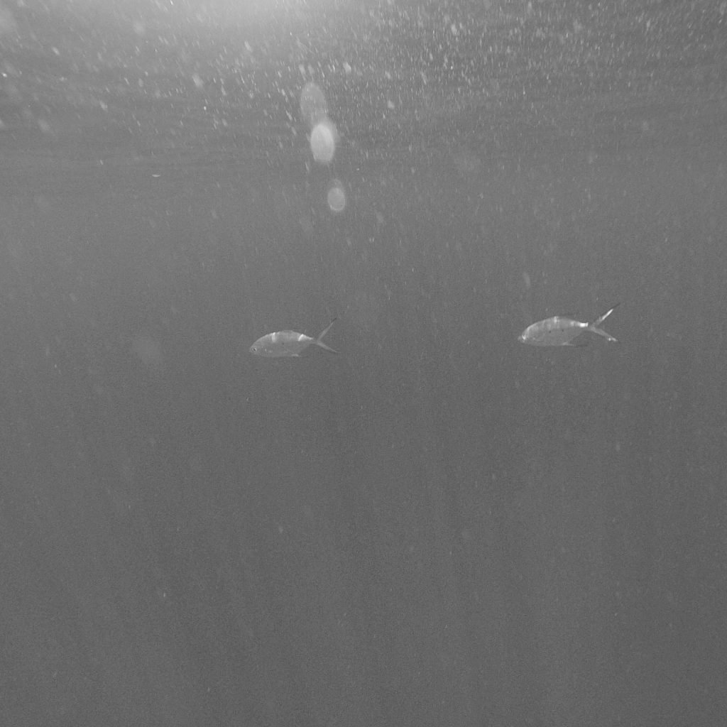 Below sea