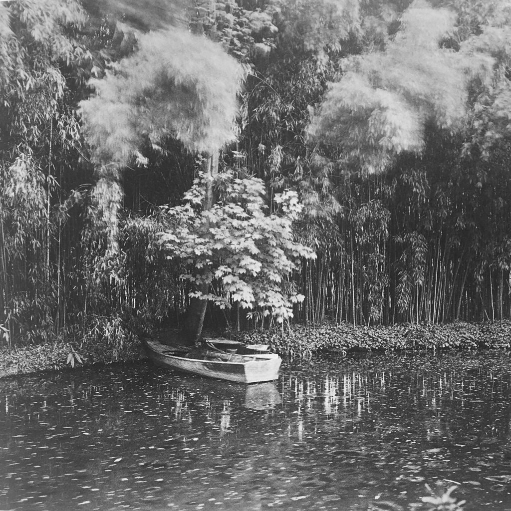 Elger Esser (landscape photographer), Combray, Phantasy